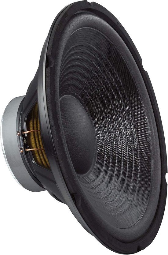 12 Inch PA Subwoofer Speaker - 30 cm, Black