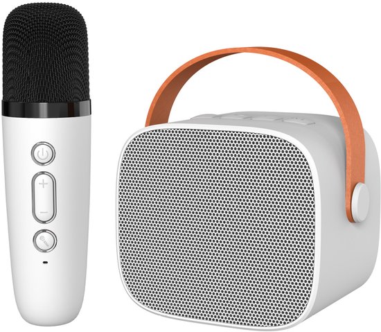Bluetooth K-lied audio karaoke met microfoon, gesplitst, draadloos, draagbaar, kinder- en familie-KTV miniset, ondersteuning voor AUX, TF-kaart, geluidsverandering (wit, enkele microfoon) van Merkloos