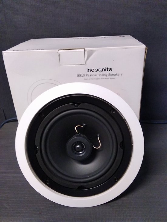 CAMBRIDGE INCOGNITO SS10 van Raleigh