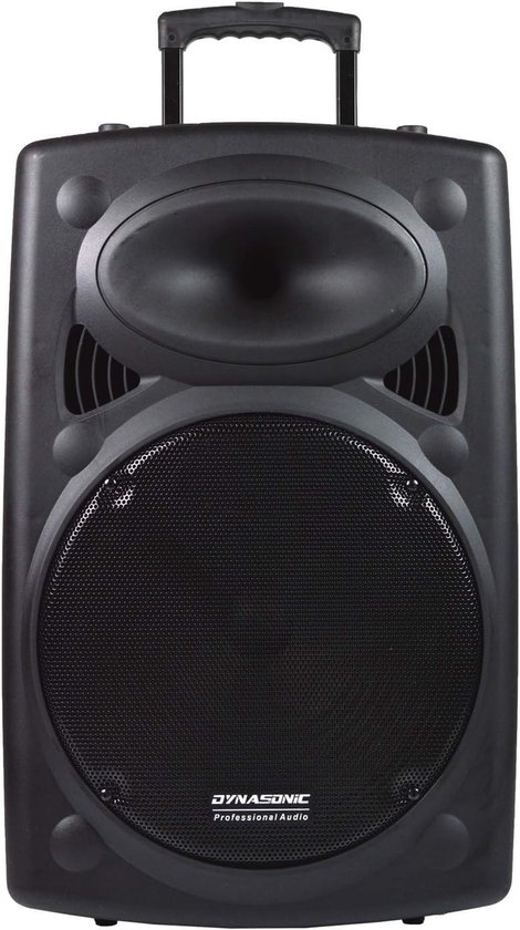 Draagbare Luidspreker 800 W Bluetooth - 15 Inch Speaker - Polypropyleen - Zwart - Professioneel Geluidssysteem