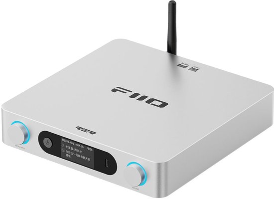 FIIO BR15 R2R Zilver van Merkloos