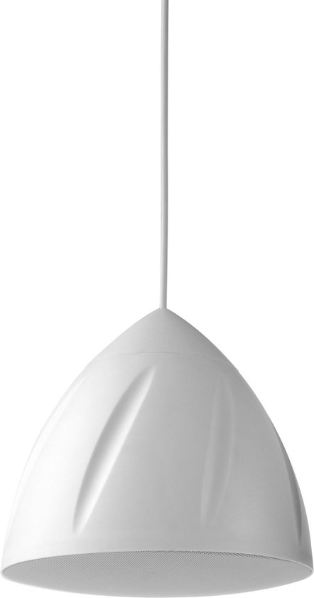 Hangende plafond speaker - Power Dynamics PDS40W hangende speaker - 100V & 8 Ohm - 5,25 inch - 2-weg - 30W - Wit van Power Dynamics