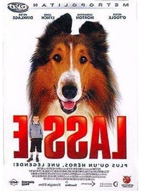 Lassie DVD - Film - Film Kijken - Klassieke Film - Niet van toepassing - Niet van toepassing