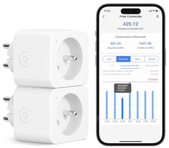 Meross Power Socket (FR), 16A WiFi Socket, Compatible with Alexa and Google Home, Pack of 2, Intelligent Socket with Voice Control, Remote Control and Bluetooth Configuration