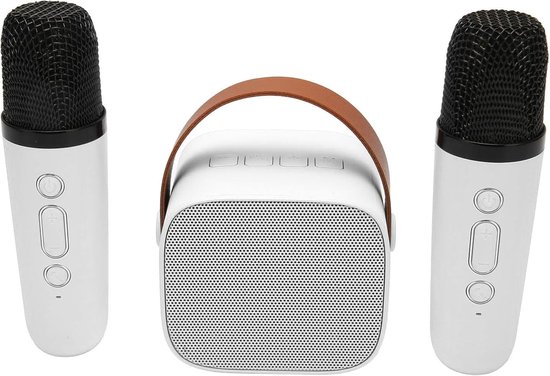Mini Karaoke Machine, Draagbare Bluetooth Stereo Luidspreker met 2 Draadloze Microfoons, Geschikt voor Kinderen en Volwassenen, Draagbare Microfoon voor Familievergaderingen en Karaoke van Merkloos