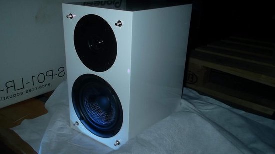 Pioneer S-P 01 LR (price per piece)