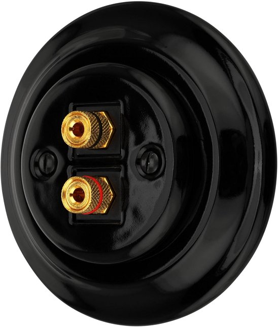 Recessed porcelain retro speaker box, 2-gang, All-in-One, series PR1 black - ShopVlot