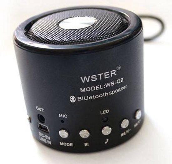 Robas WS-Q9 mini speaker