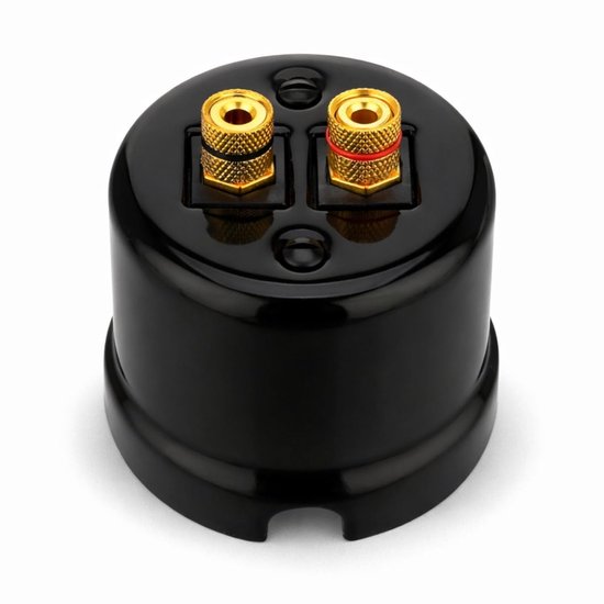 Surface mounted porcelain retro speaker box 2-gang, All-in-One, series QR1 black - ShopVlot