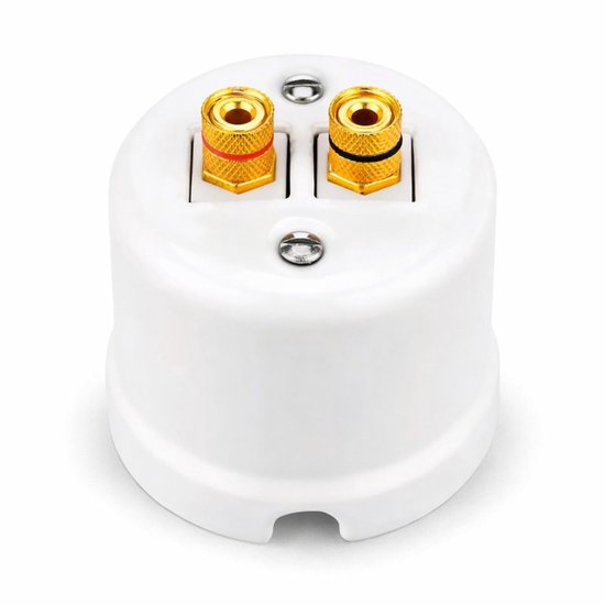 Surface mounted porcelain retro speaker box 2-gang, All-in-One, series QR1 white - ShopVlot